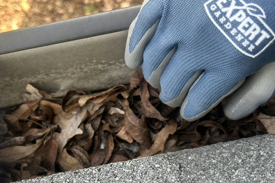 Nolensville Gutter Cleaning