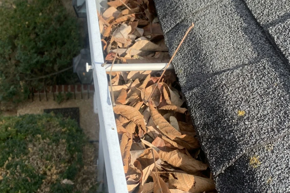 Nolensville Gutter Cleaning